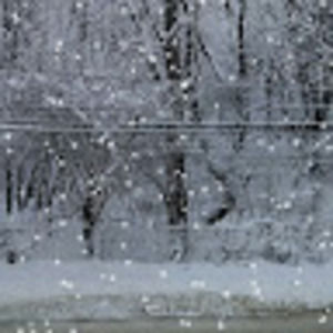 Meet your Posher, Orin